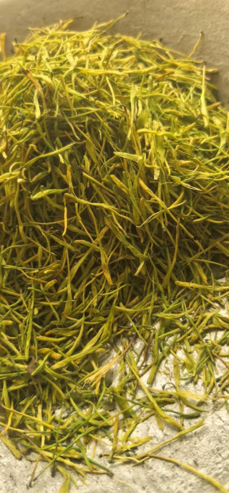 山银花山二花青花茶花颜色青《聚源药业》