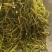 山银花山二花青花茶花颜色青《聚源药业》