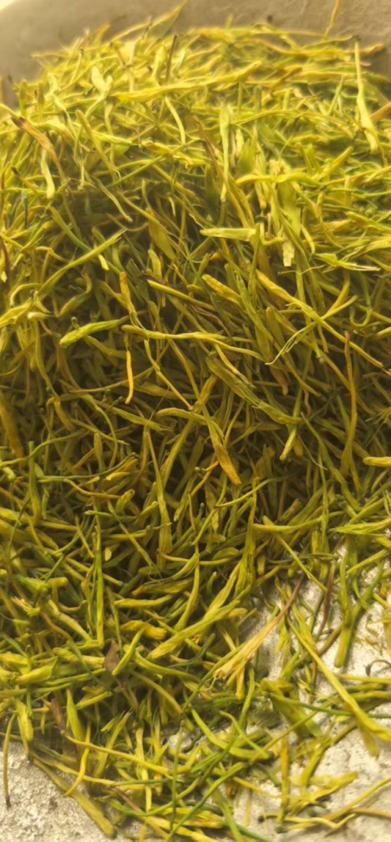 山银花山二花青花茶花颜色青《聚源药业》