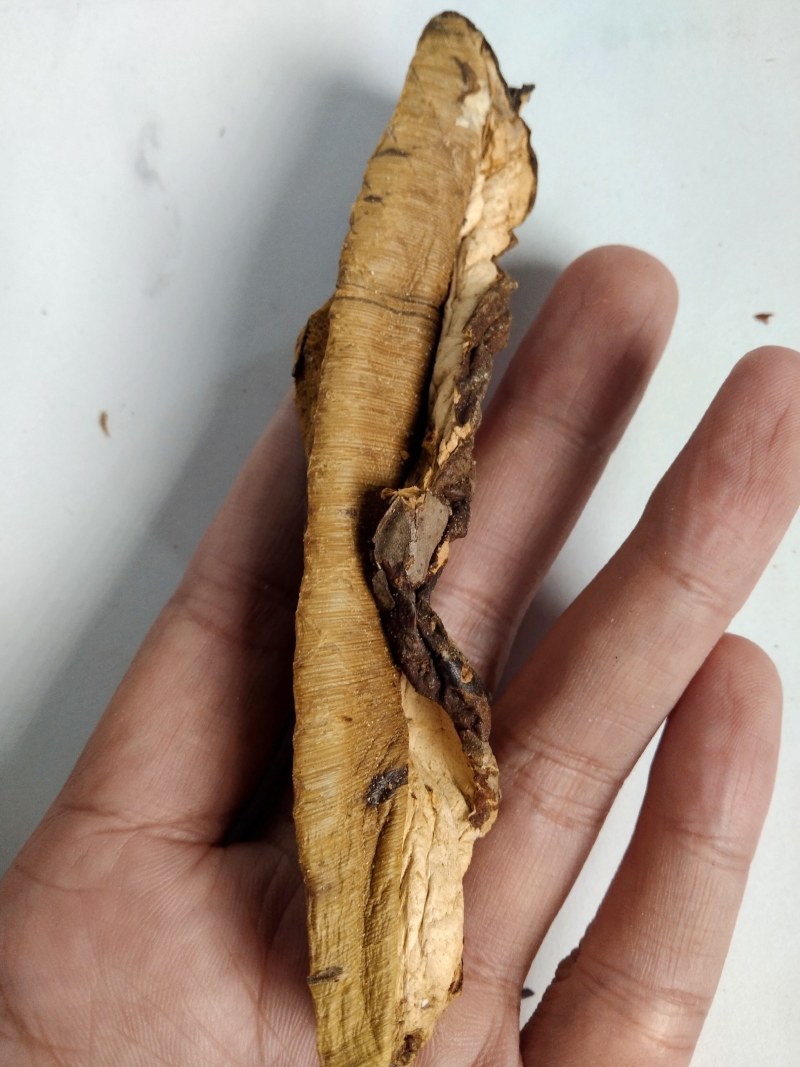【源头实力厂家】云南高山特级黄牛肝菌干片无硫熏干净少沙