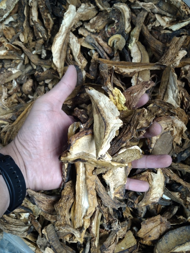 【源头实力厂家】云南高山特级黄牛肝菌干片无硫熏干净少沙