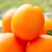 【实力推荐】重庆脐橙橙子🍊产地直销量大从优可视频看货
