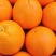 【实力推荐】重庆脐橙橙子🍊产地直销量大从优可视频看货