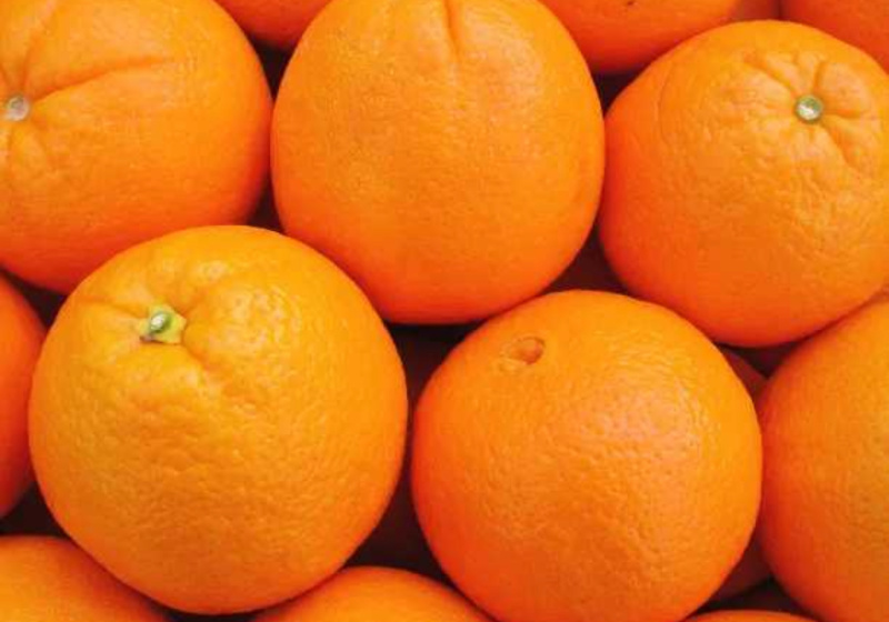 【热卖推荐】重庆脐橙橙子🍊一手货源质量保证欢迎采购