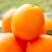【热卖推荐】重庆脐橙橙子🍊一手货源质量保证欢迎采购