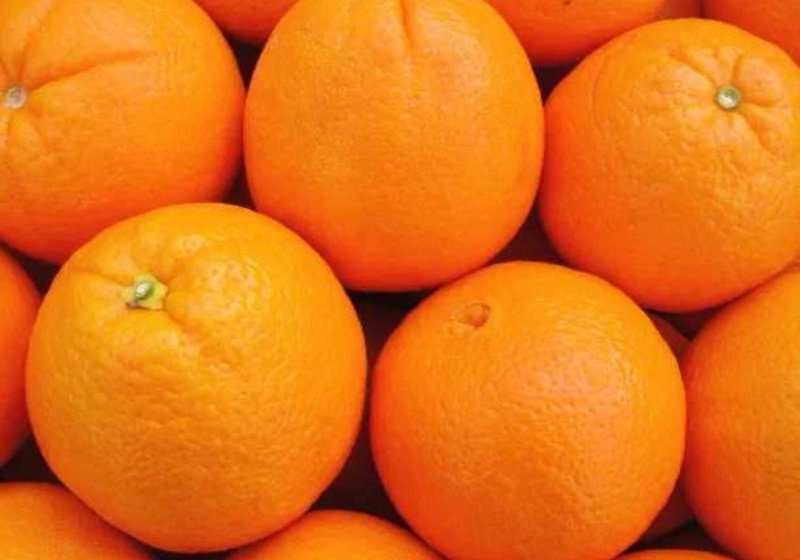 【热卖推荐】重庆脐橙橙子🍊一手货源质量保证欢迎采购