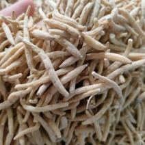 无硫贵州太子参选货新货批发各种中药材