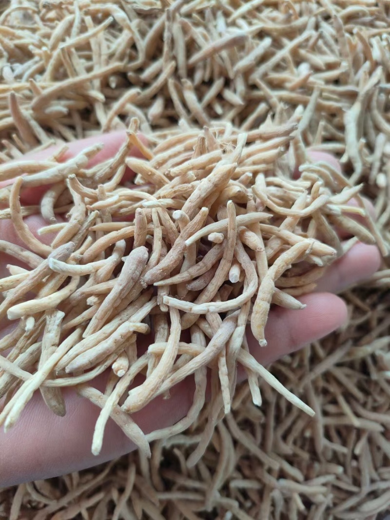 无硫贵州太子参选货新货批发各种中药材