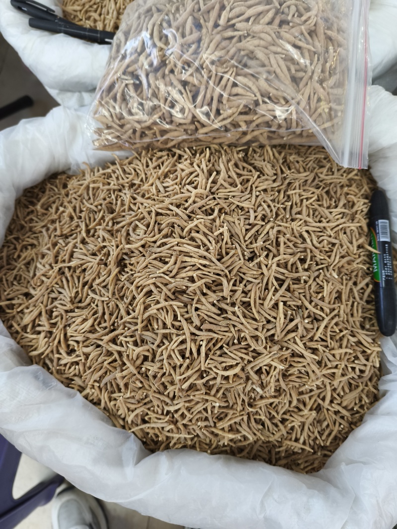 无硫贵州太子参选货新货批发各种中药材