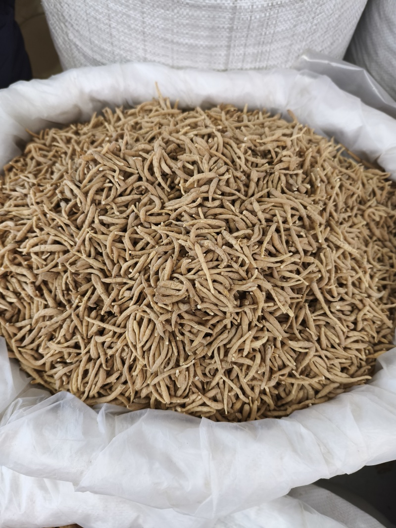 无硫贵州太子参选货新货批发各种中药材