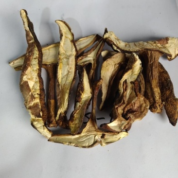 .【无硫熏蒸】特级美味牛肝菌干片菌香浓郁肉质肥厚