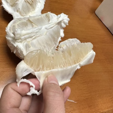 梅州金柚