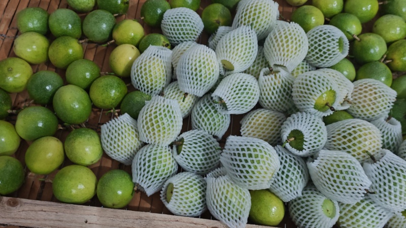 钦密9号百香果，香甜如蜜，汁水饱满