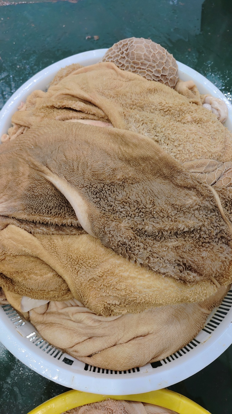 【羊毛肚】绵羊的黄毛肚！生的免洗干净！新鲜速冻！常年有货