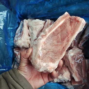 后肘骨