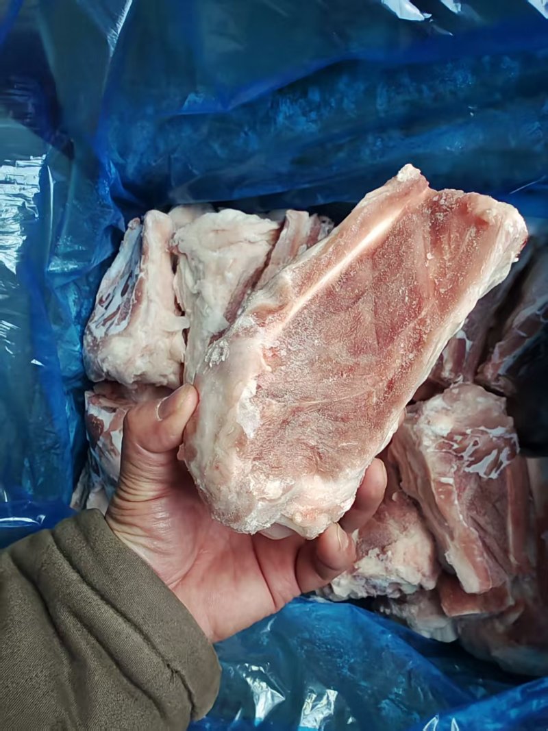 后肘骨