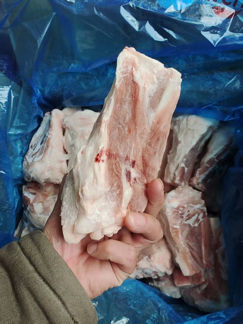 后肘骨