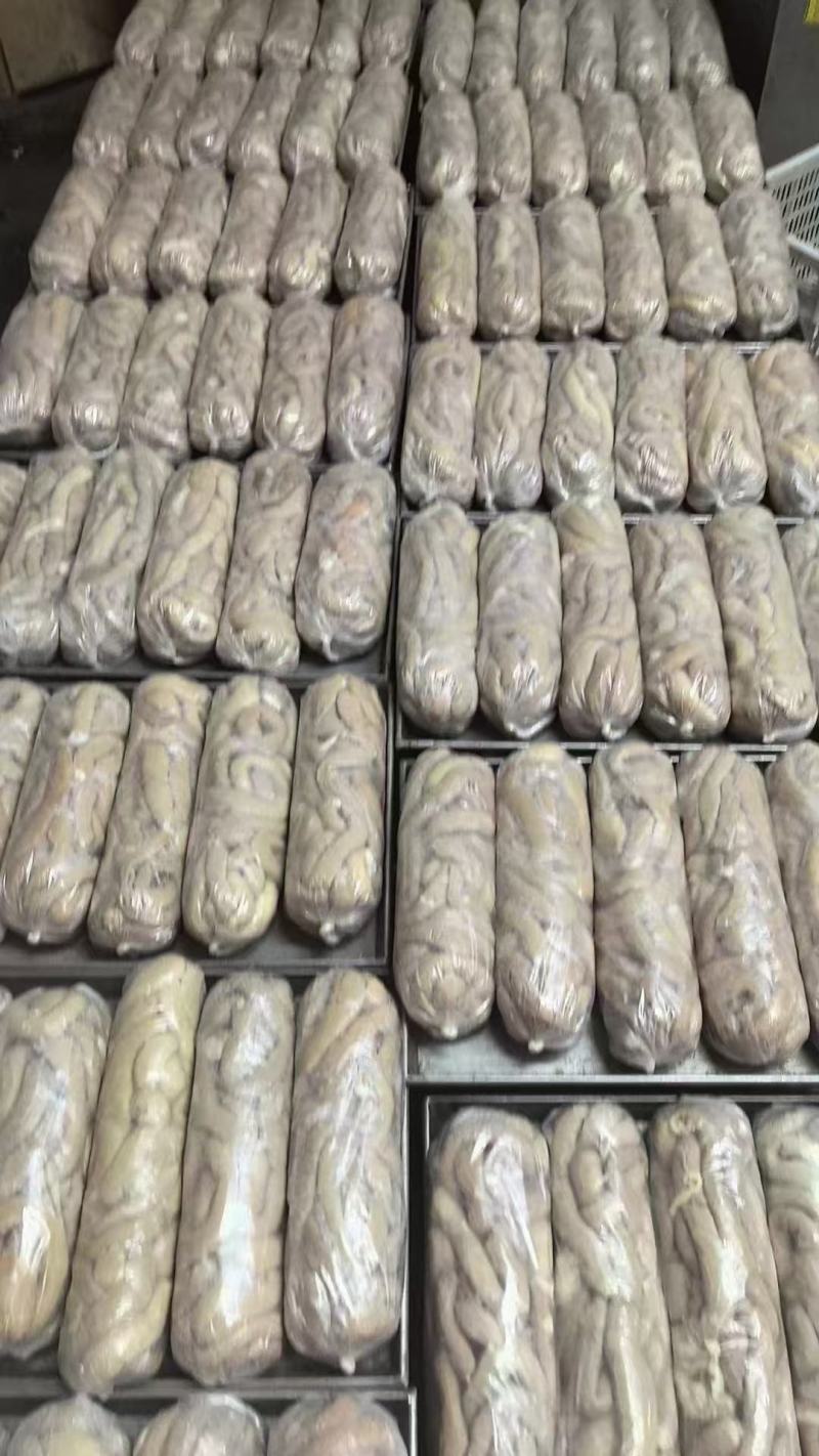 牛小肠圆肠