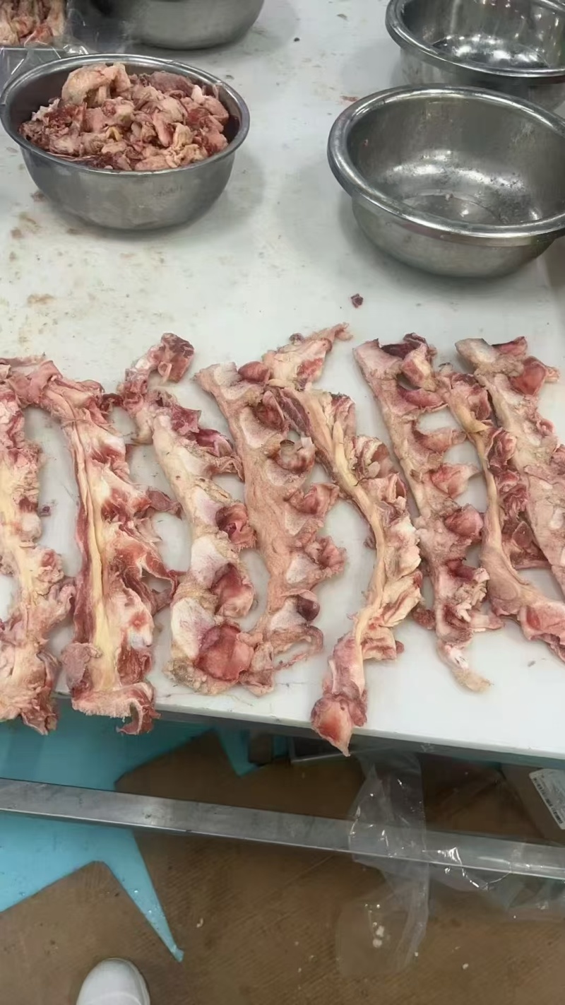 带肉霸王鞭厂家直销品质保证大量现货批发零售欢迎来电