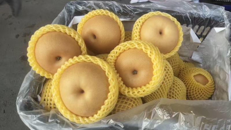 优质秋月梨价格便宜口感脆甜好吃，一口爆汁诚信经营