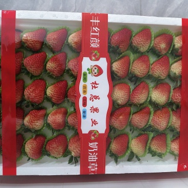 长丰草莓专业代办诚邀合作伙伴