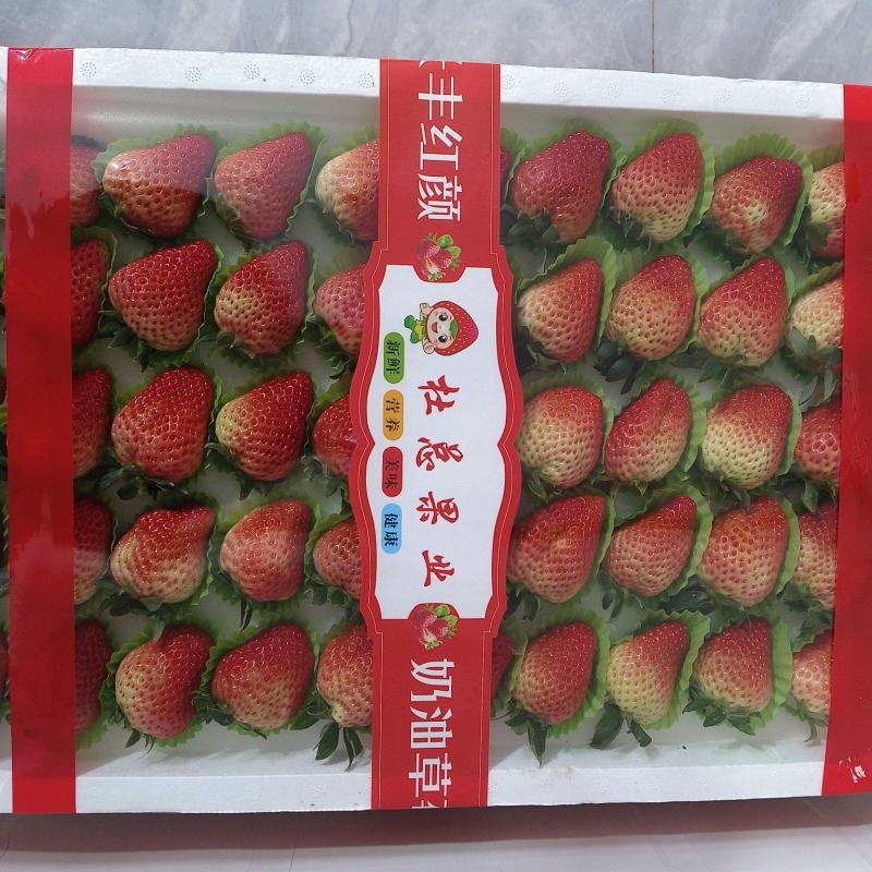 长丰草莓专业代办诚邀合作伙伴
