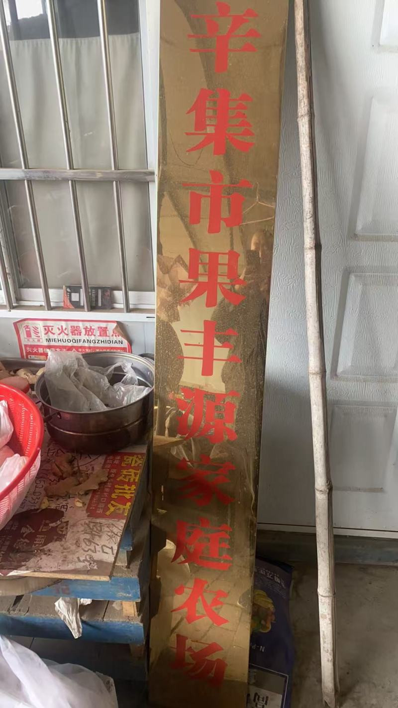 红香酥梨，【辛集酥梨】口感超甜，价格超便宜，保证质量
