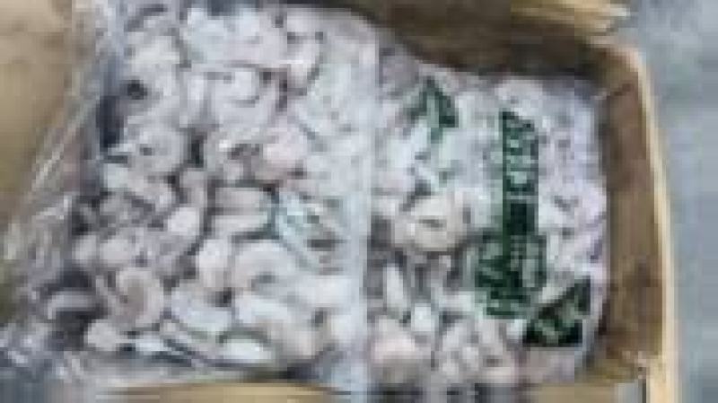 青虾仁大量上市，产地直发，品质保证，服务周到诚信经营