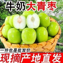 云南大青枣苹果枣牛奶枣青枣当季水果产地直发
