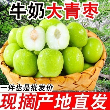 云南大青枣苹果枣牛奶枣青枣当季水果产地直发