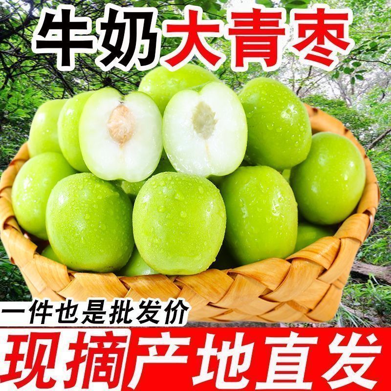 云南大青枣苹果枣牛奶枣青枣当季水果产地直发