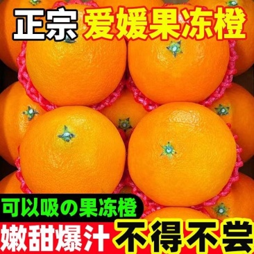 正宗爱媛果冻橙承接社区团购，支持全网一件代发