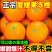 正宗爱媛果冻橙承接社区团购，支持全网一件代发