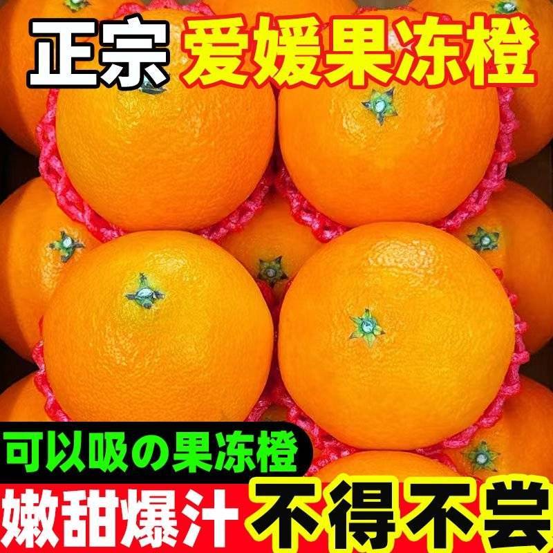 正宗爱媛果冻橙承接社区团购，支持全网一件代发