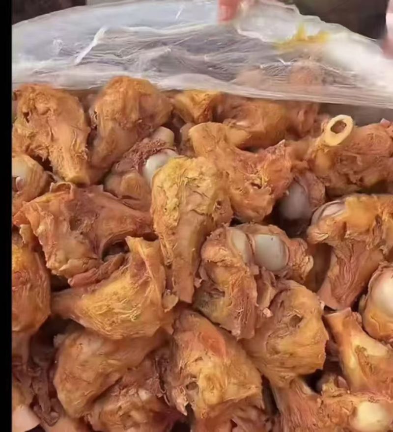 1672前腿骨