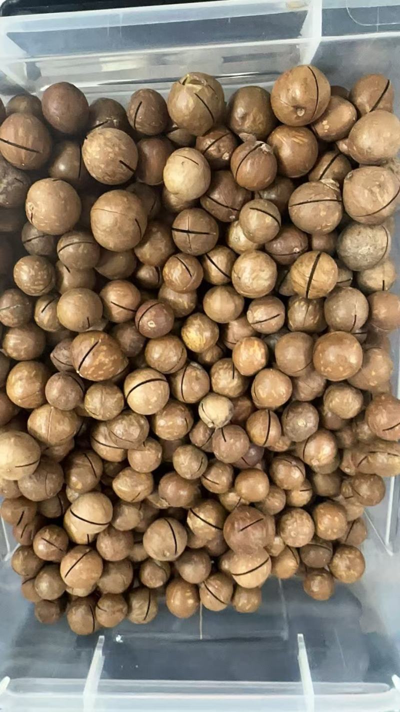 夏威夷果电商货