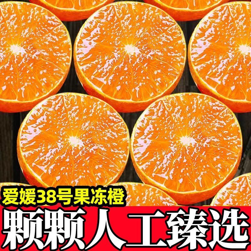 正宗爱媛果冻橙承接社区团购，支持全网一件代发