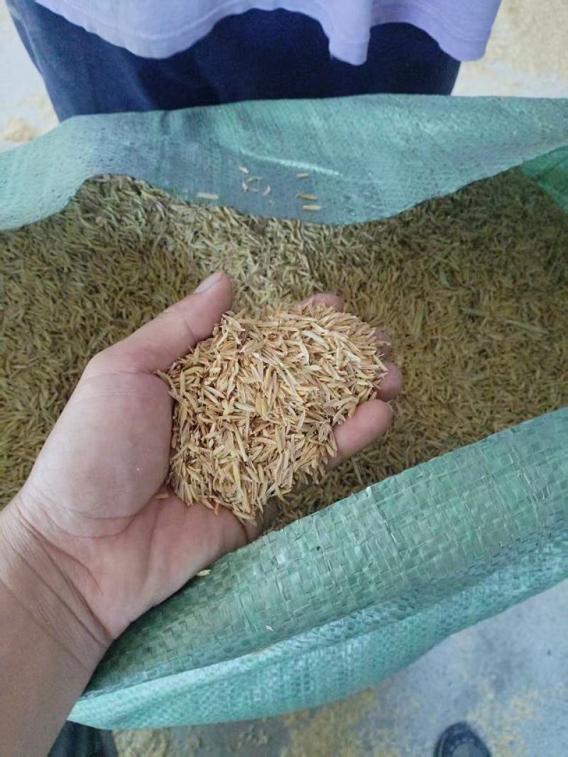 酒厂净壳，干净无尘无霉变，酒厂专用