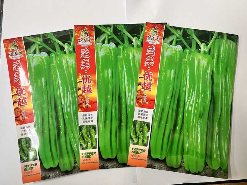 🔥**基地油亮形大果薄皮泡椒大果辣椒种子