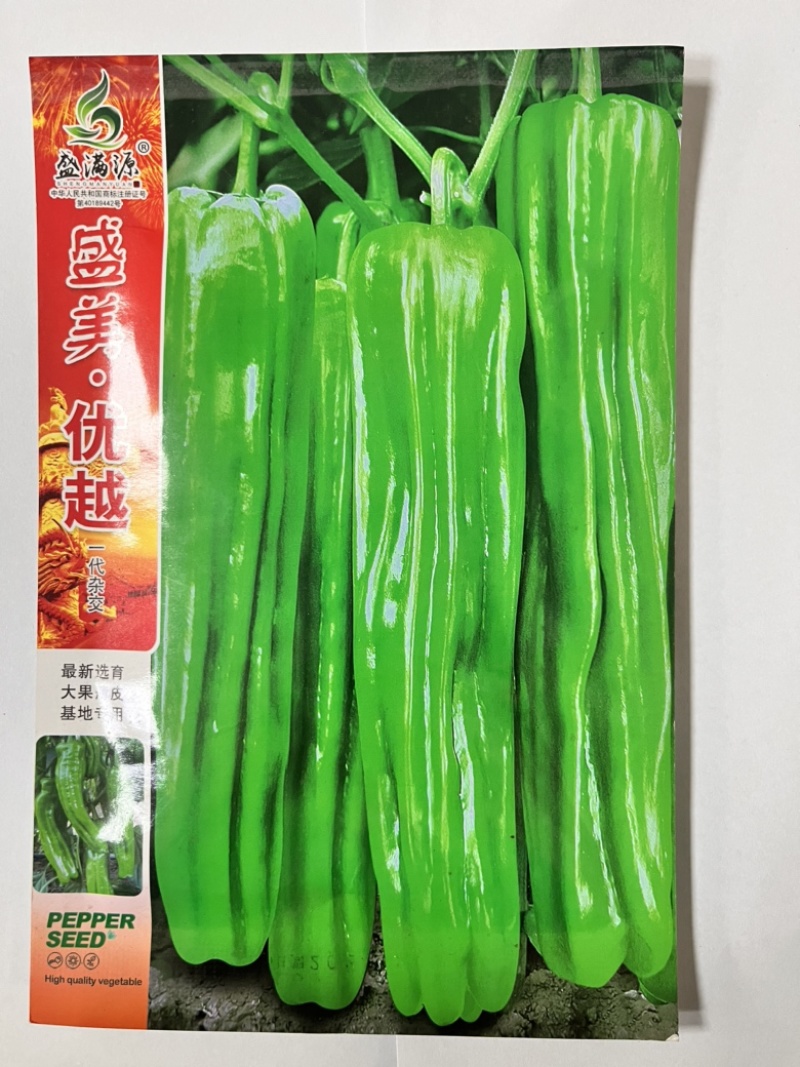 🔥**基地油亮形大果薄皮泡椒大果辣椒种子