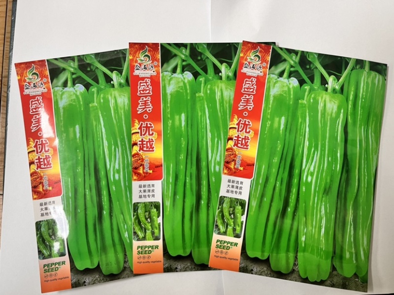 🔥**基地油亮形大果薄皮泡椒大果辣椒种子