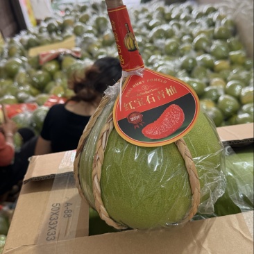 红宝石青柚大量现货