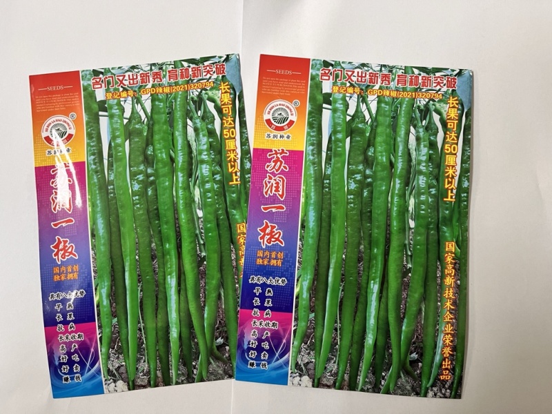 🔥厂家直发**基地苏润一椒苏润508苏润509