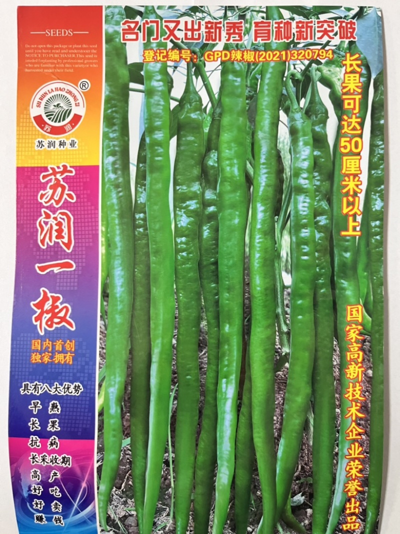 🔥厂家直发**基地苏润一椒苏润508苏润509