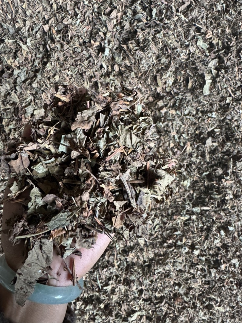 鱼腥草野生鱼腥草新货规格定制产地直供量大从优