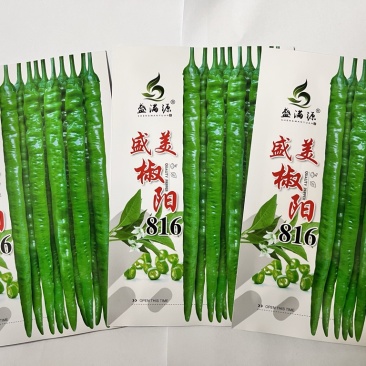 🔥基地专用保真辣椒线椒种子产量高品质佳盛美816