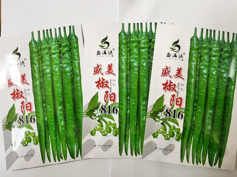 🔥基地专用保真辣椒线椒种子产量高品质佳盛美816