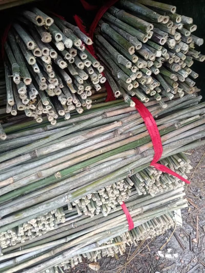 竹竿菜架竹豆角架黄瓜架西红柿架冬瓜架批发供应