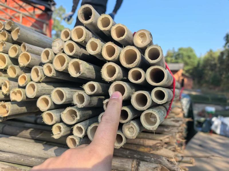 竹竿菜架竹豆角架黄瓜架西红柿架冬瓜架批发供应