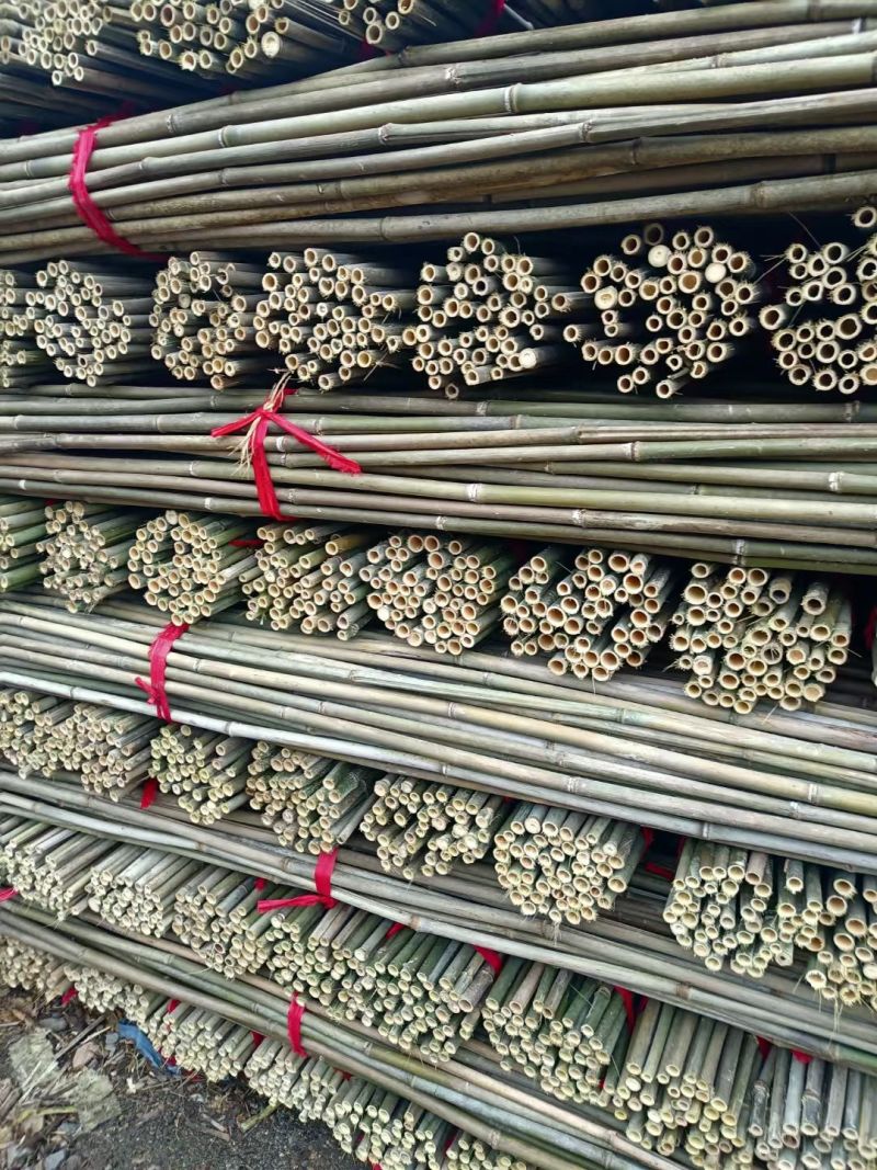竹竿菜架竹豆角架黄瓜架西红柿架冬瓜架批发供应